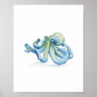 Octopus Azul-Cria