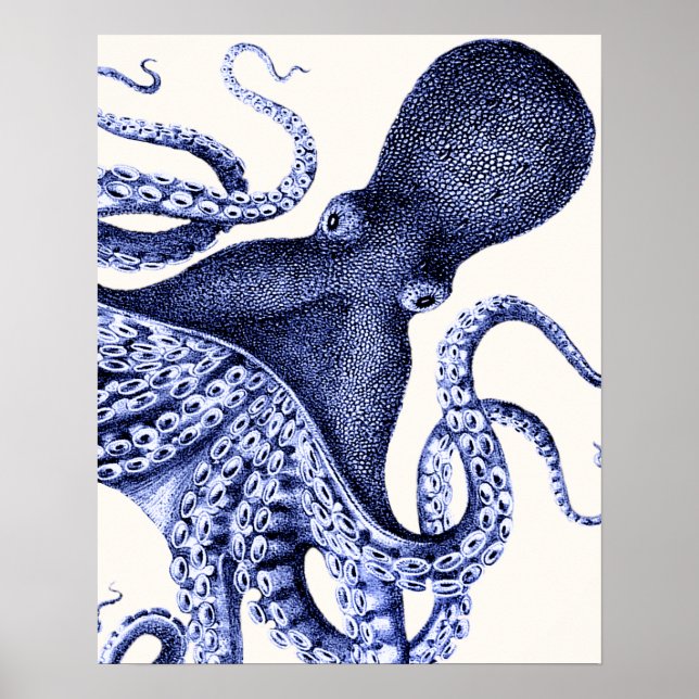 Poster Octopus Azul Paisagem (Frente)