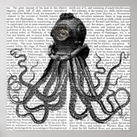 Octopus e Capacete de Mergulho