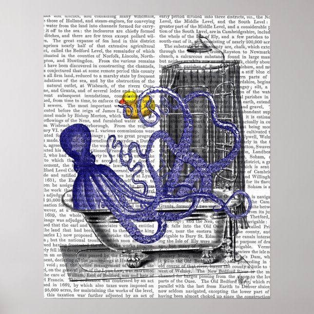 Pôster Octopus em Bath (Frente)