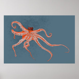 Poster Octopus Hugs