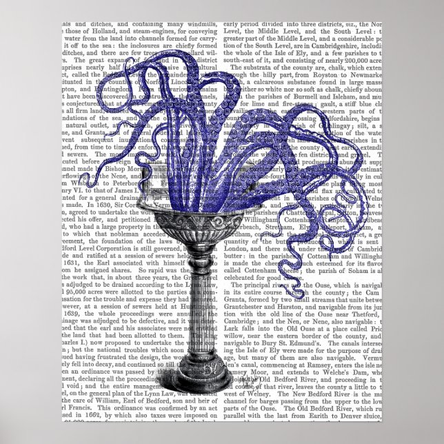 Pôster Octopus no Sink (Frente)