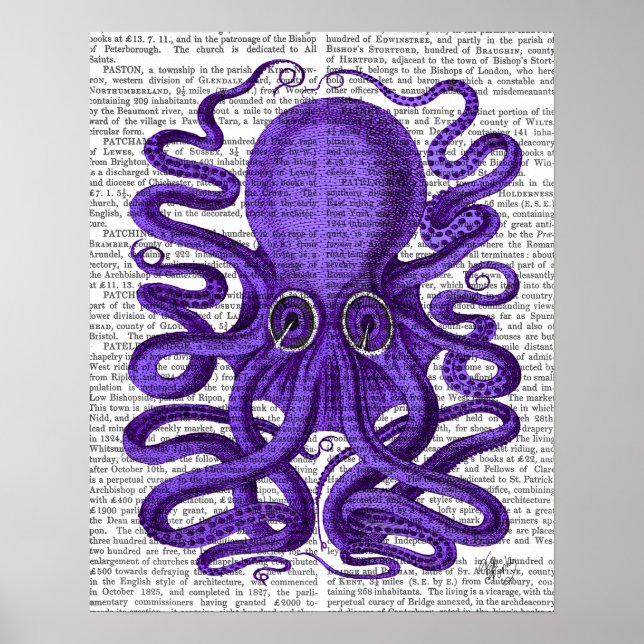 Poster Octopus púrpura (Frente)