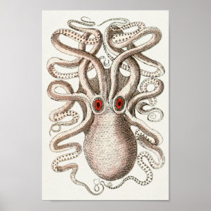 Pôster Octopus Red Eye Cephalopold Sea Creatures Art Impr