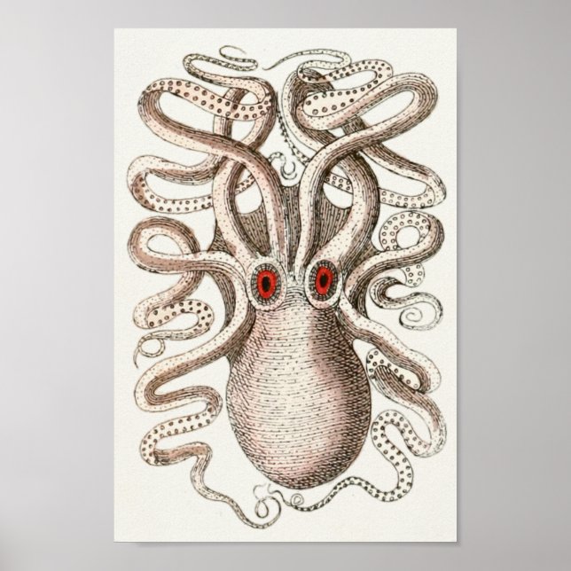 Pôster Octopus Red Eye Cephalopold Sea Creatures Art Impr (Frente)
