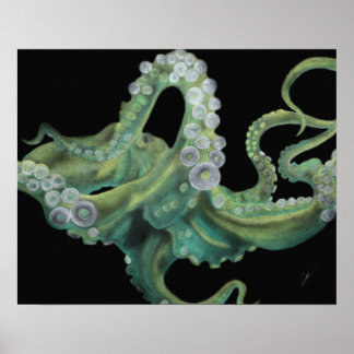 Pôster Octopus Verde 20 x 16