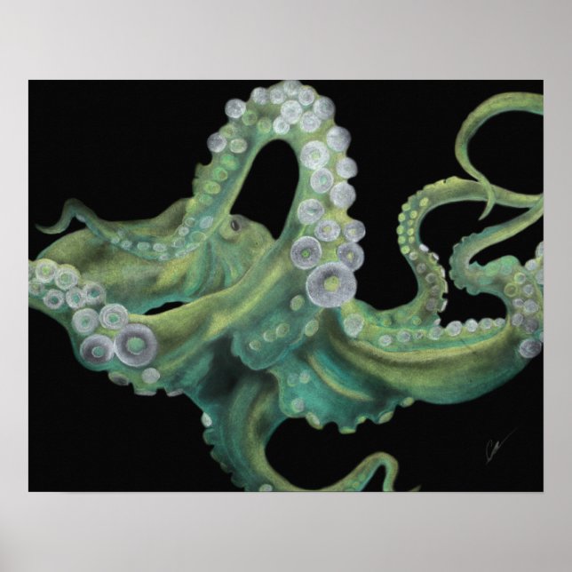 Pôster Octopus Verde 20 x 16 (Frente)