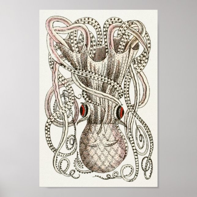 Poster Octopus Vintage Cephalopold Sea Creatures Art Impr (Frente)