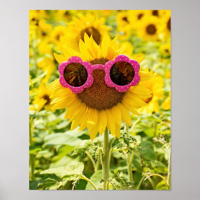 Poster Óculos de Sol Sobre Girassol (Frente)
