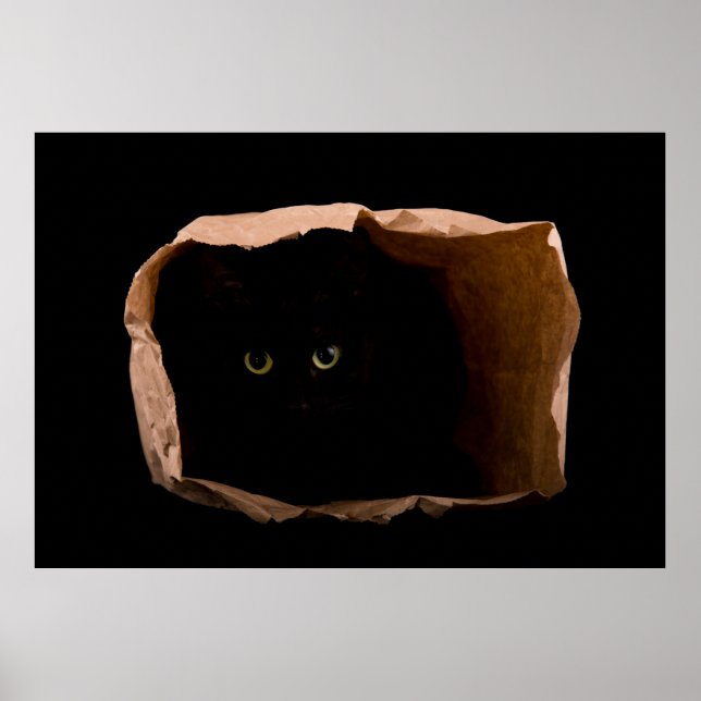 Poster Ocultando nas Sombras (Frente)