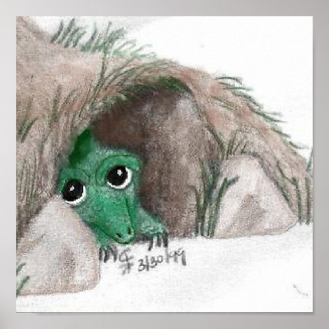 Poster Ocultar Dragão (Frente)