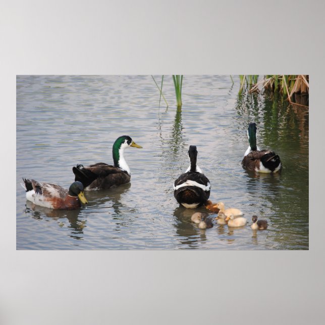 Pôster Ocupado Não Fazendo Nada (Frente)