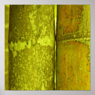 Pôster Ode para Bamboo