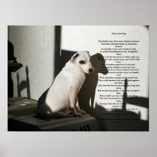 Poster Ode para o cão