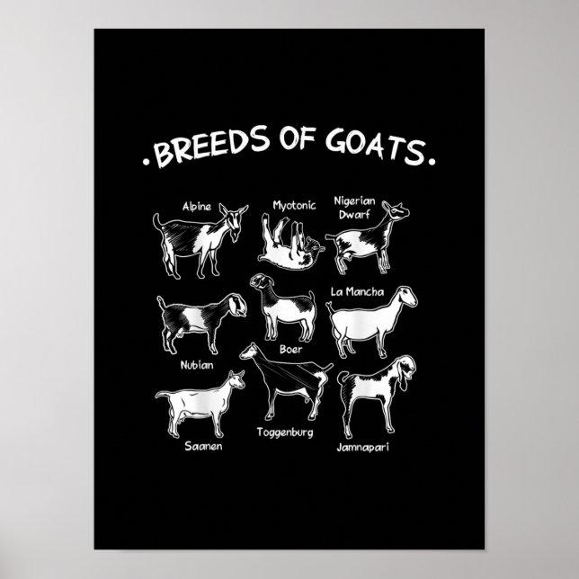 Poster Oferta De Caprinos Para O Setor Da Agricultura (Frente)
