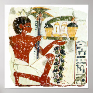 Pôster oferta de menino