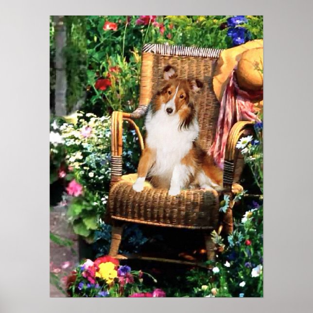Poster Ofertas de arte Shetland Sheepdog (Frente)