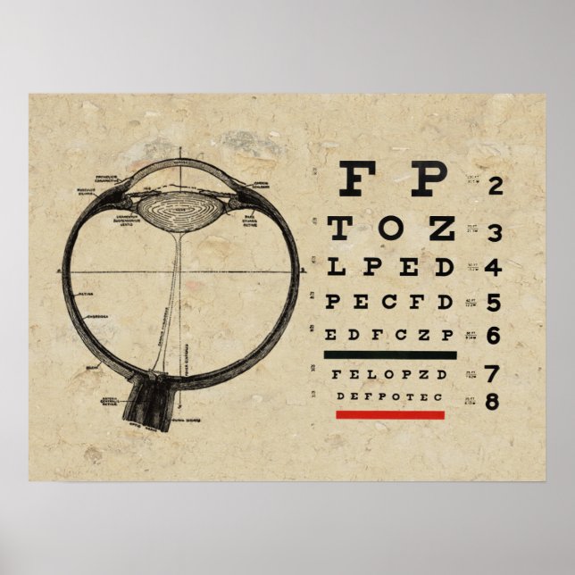 Poster oftalmologista de Optometria (Frente)