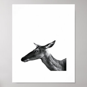 Poster Oh Deer Estilo Estético Moderno