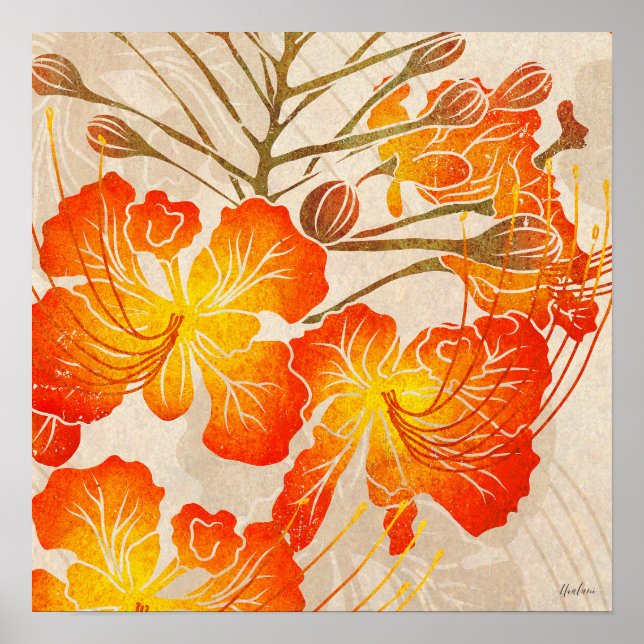 Poster Ohai Alii 2 (Frente)