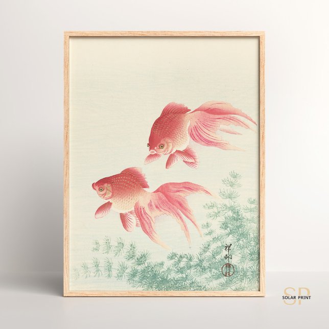 Poster Ohara Koson Two Goldfish e Waterweed Japonês (Criador carregado)