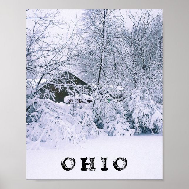 POSTER OHIO IN WINTER 2020 (Frente)