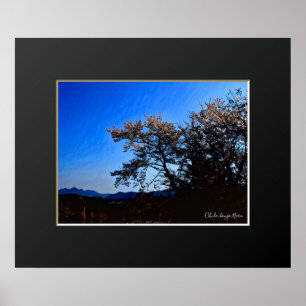 Poster Ohuda-Hongo, Nara: Flor ポ ス タ ー