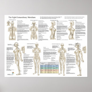 Poster Oito Meridianos Extraordinários de Acupuntura Extr