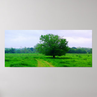 Pôster Oka’ Yanahli (Saturação a cores)