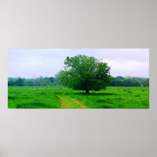 Pôster Oka’ Yanahli (Saturação a cores) (Frente)