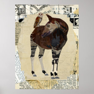Pôster OKAPI & OWL Art