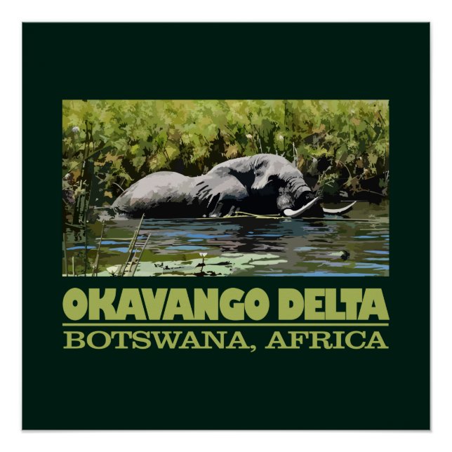 Pôster Okavango Delta (Frente)