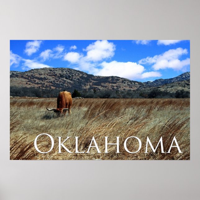 Pôster Oklahoma Prairie Print (Frente)