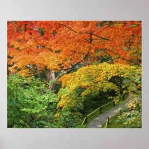 Pôster Okochi Sanso, Arashiyama, Kyoto, Japão 2