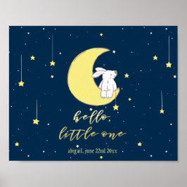 Poster Olá, Pequeno Coelhinho Bonito no Enfermeiro da Lua