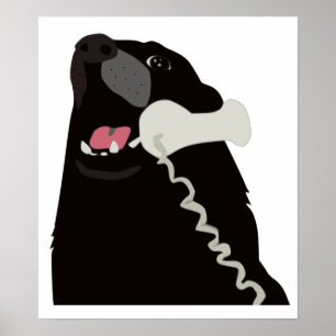 Pôster OLÁ! SIM ESTE É telefone do telefone do CÃO