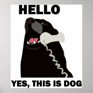 Pôster OLÁ! SIM ESTE É telefone do telefone do CÃO