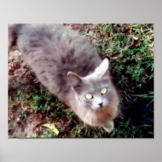 Pôster Olá, Você Pode Me Ouvir? (Frente)