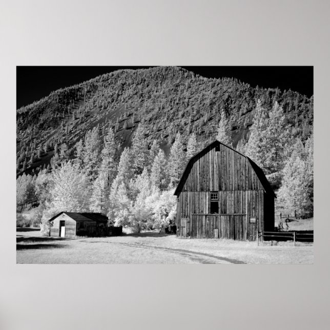 Pôster Old Barn (Frente)