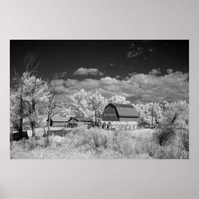 Pôster Old Barn (Frente)
