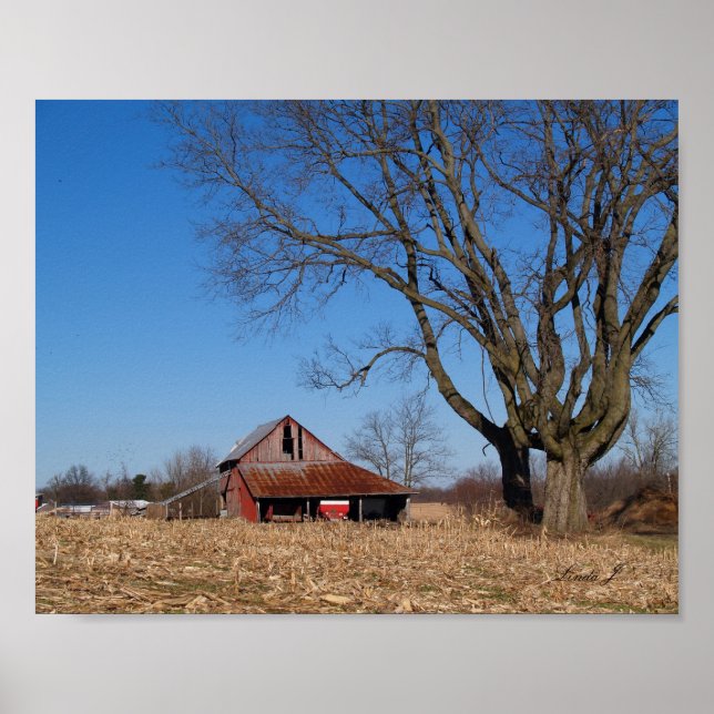 Poster Old Barn em Illinois EUA Canvas Print (Frente)