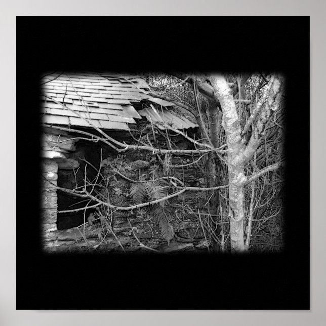 Poster Old cottage and Tree. Black and white. (Frente)