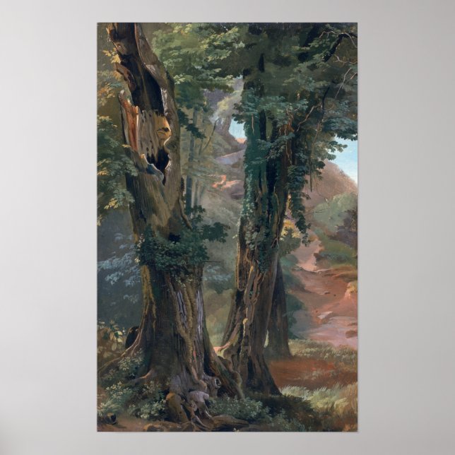 Pôster Old Elms, c.1835 (Frente)