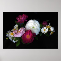 Old fashioned Roses