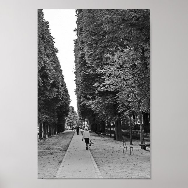 Pôster Old lady walking at park in Paris in summer (Frente)