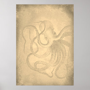 Poster Old octopus   Sea life   Vintage Paper