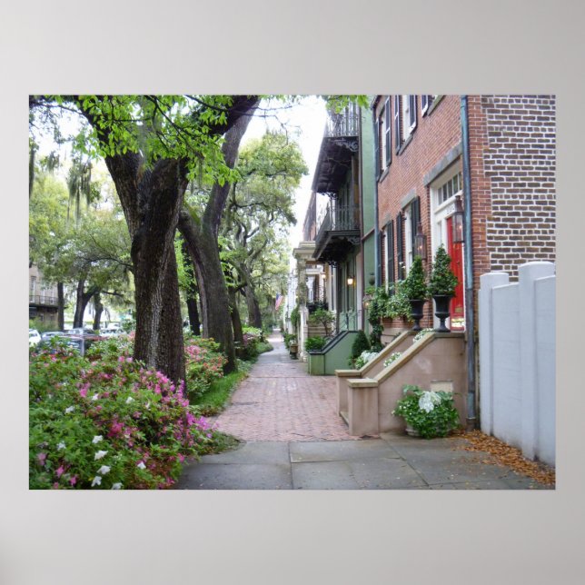 Pôster Old Savannah (Frente)