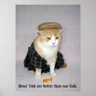 Pôster Old Scottish Fold Say