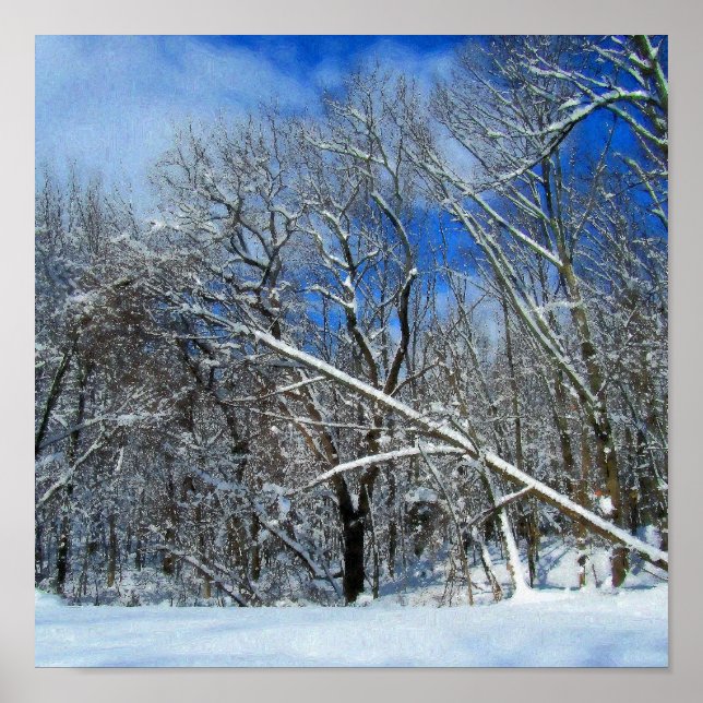 Pôster Óleo De Tempestade De Inverno (Frente)