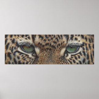Poster olhais-leopardo-pantero